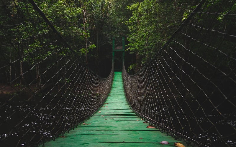 Eco-Tourism